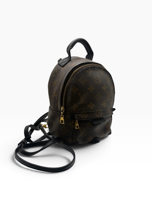 Louis Vuitton LV Monogram Palm Springs Mini